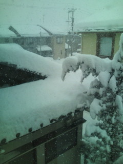 雪だぁ！_b0143256_16394686.jpg