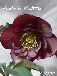 e0118257_18465331.jpg