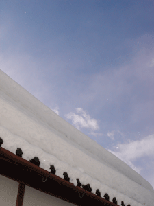 e0001558_1720488.gif