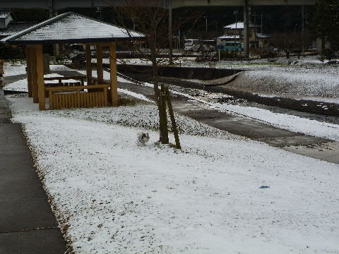 －1℃？？？　こんな日は・・・_b0137459_2215356.jpg