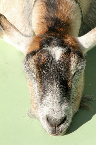 e0086860_2325355.jpg