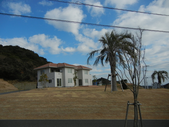 2011年1月30日(日)何でもない日曜日!_f0060461_13515187.jpg