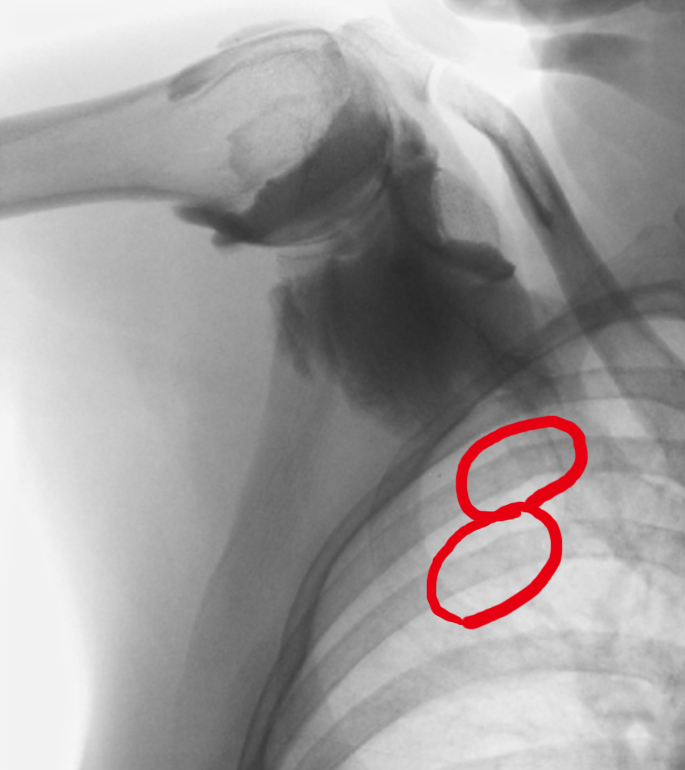 c0198263_091875.jpg