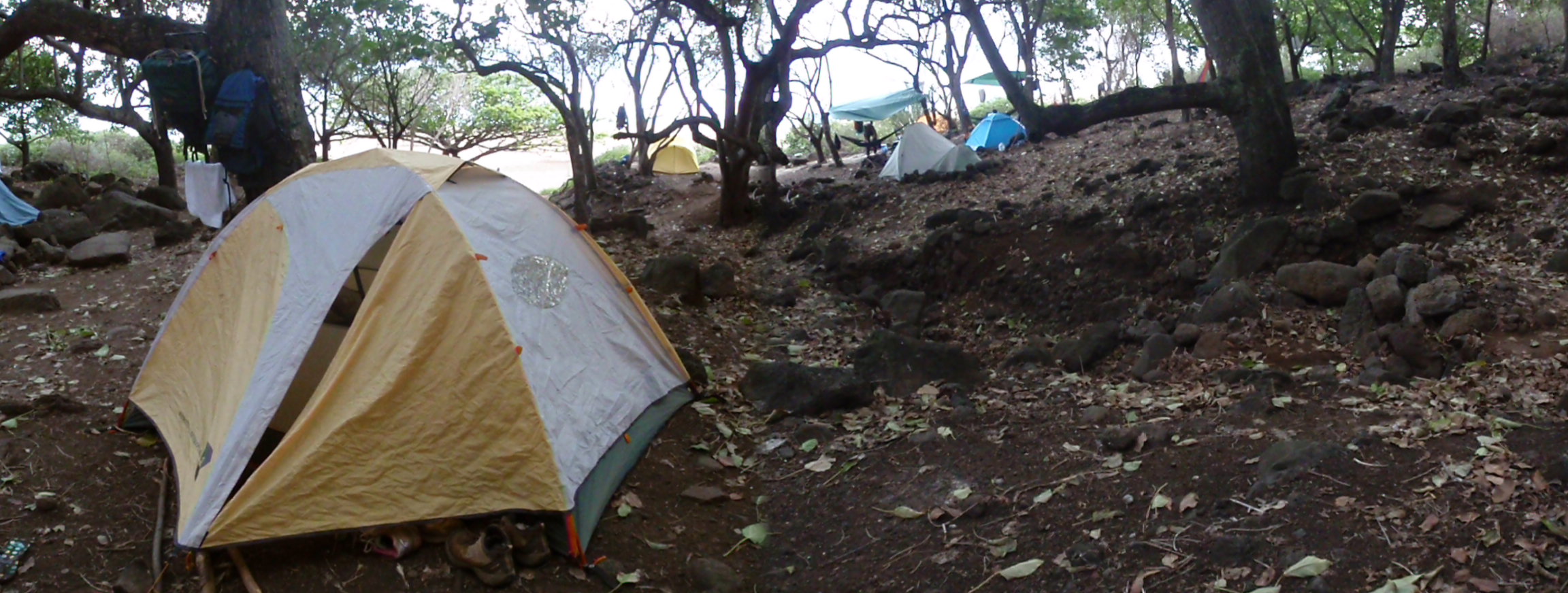 カララウ　ビーチへ（KALALAU TRAIL in HAWAII）_c0055965_13381365.jpg