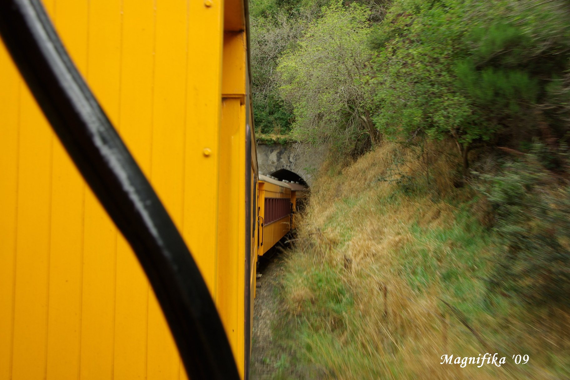 ASUKA II 南太平洋グランドクルーズ2009-40 タイエリ峡谷鉄道 Taieri Gorge Railway_e0140365_2014100.jpg