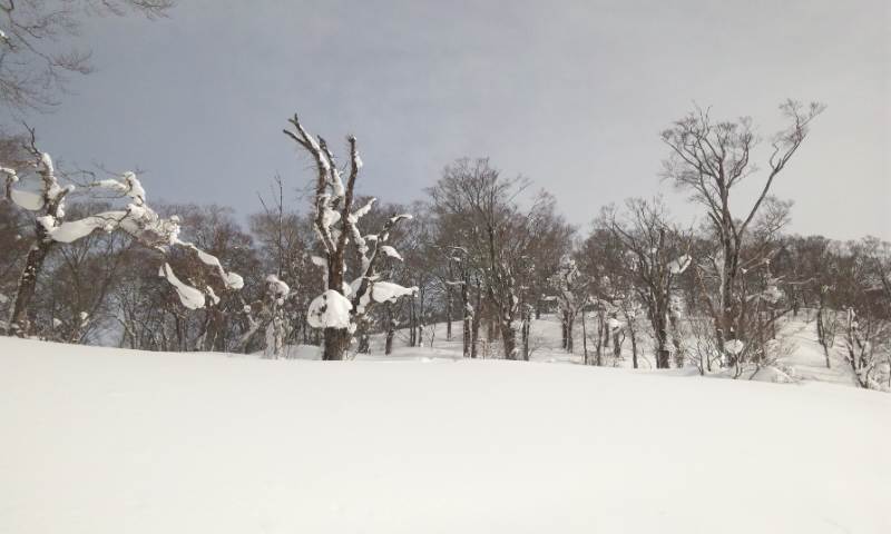 b0164568_222277.jpg