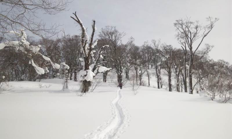 b0164568_2254410.jpg