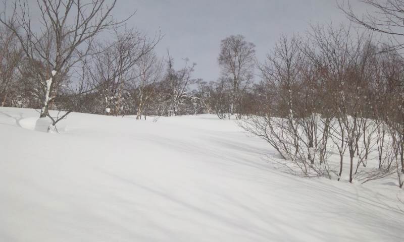 b0164568_2294996.jpg