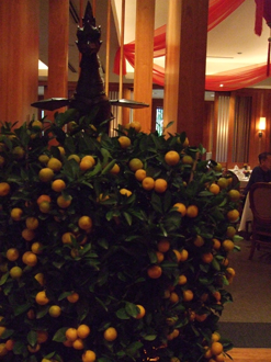 c0128278_14512015.jpg