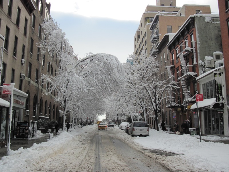 この冬2回目の大雪　The Second Snow Storm in This Winter_a0118179_4112436.jpg