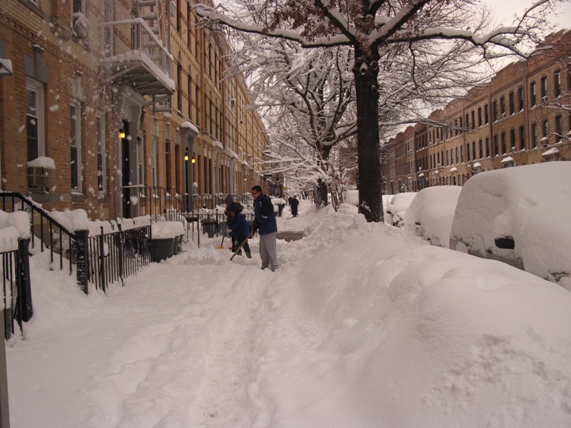 この冬2回目の大雪　The Second Snow Storm in This Winter_a0118179_475767.jpg