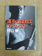 本棚便り vol.1_d0198793_14134124.jpg