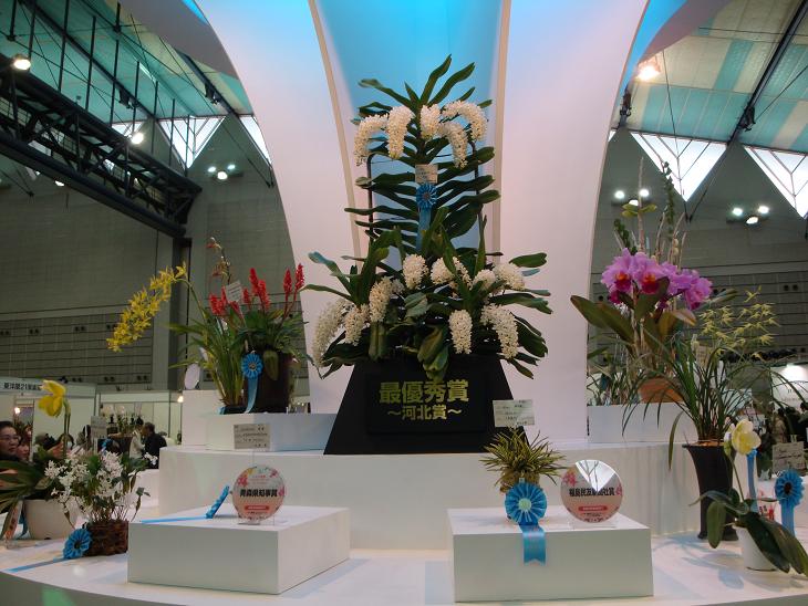 f0075595_04246.jpg