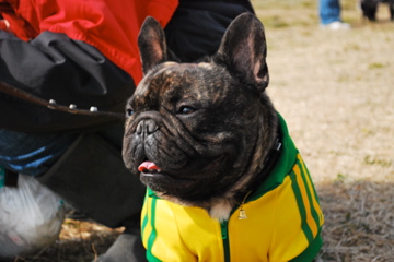 f0136098_20285750.jpg