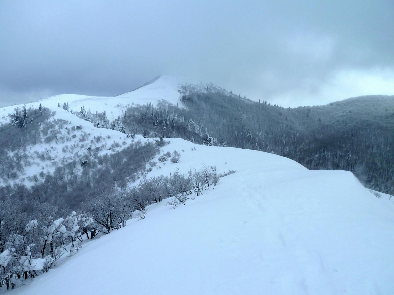 武奈ヶ岳－比良も雪が多かった！_e0110500_0165693.jpg