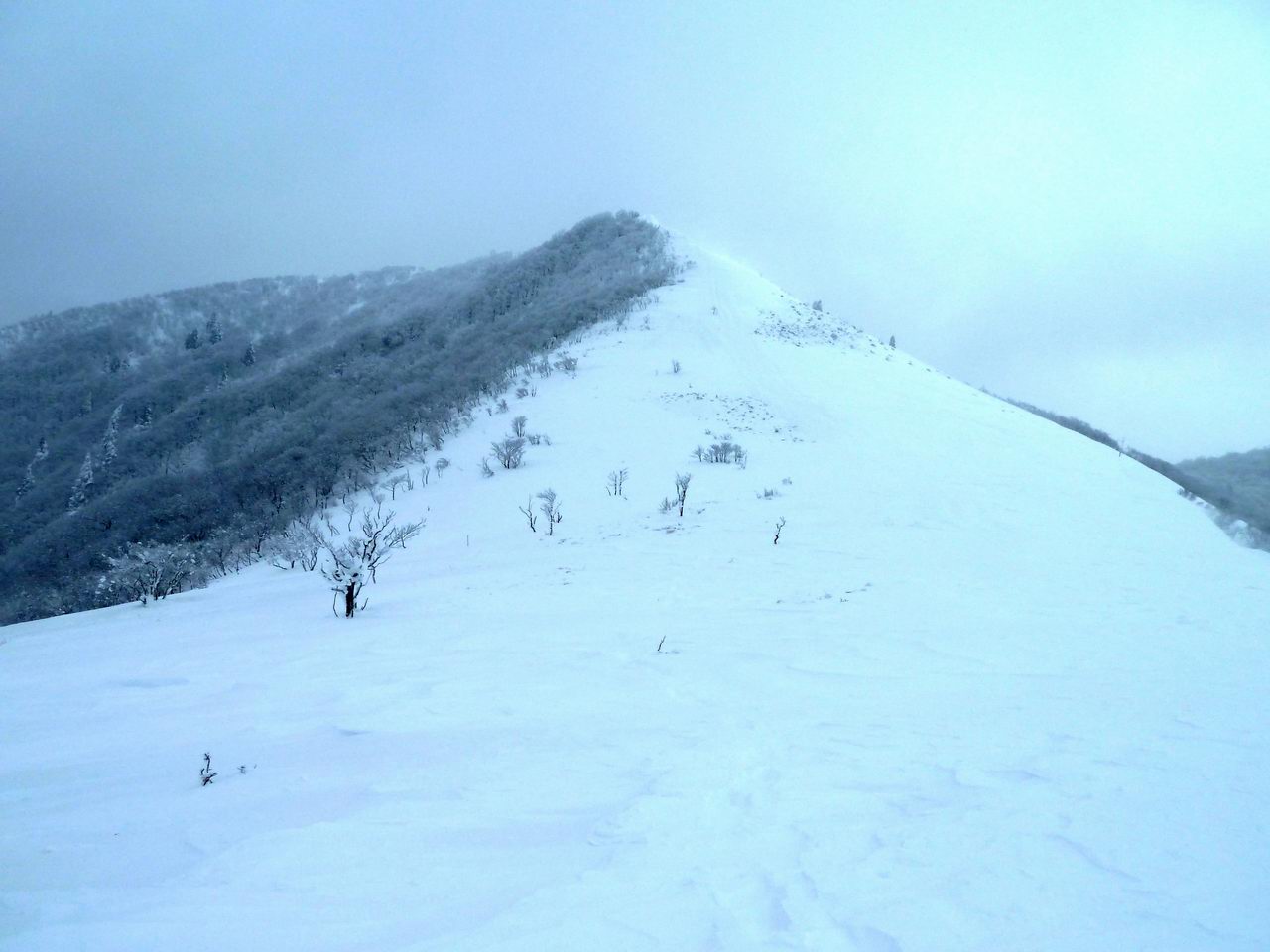 武奈ヶ岳－比良も雪が多かった！_e0110500_019417.jpg