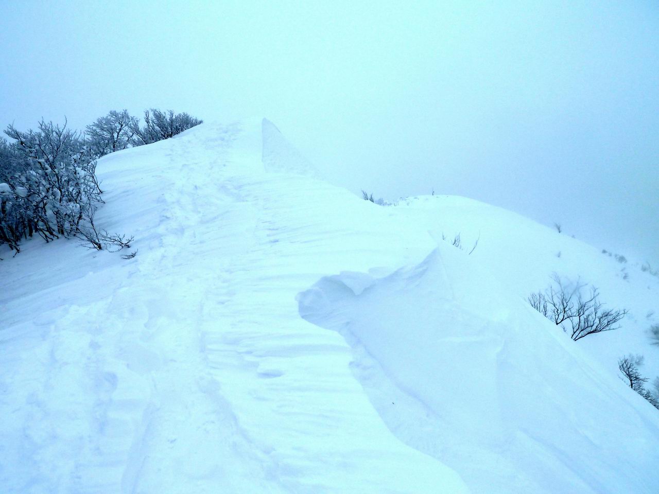 武奈ヶ岳－比良も雪が多かった！_e0110500_0205192.jpg