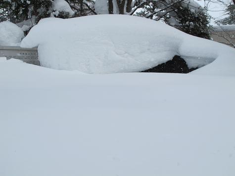 雪に埋もれてしまう、今日（２０１１．１．３１）の青春の詩碑_c0075701_2142334.jpg