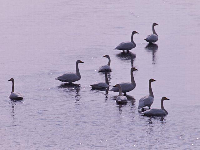 c0008502_22291285.jpg