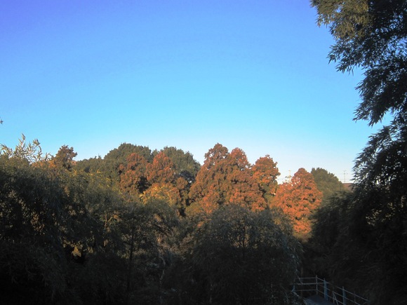 c0125702_17241019.jpg