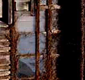 e0103408_1353344.jpg