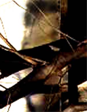 e0103408_17113746.jpg