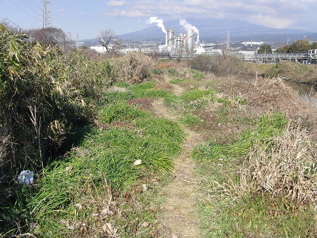 2月27日は田宿川・滝川・沼川の「お花見ウォーク」_f0141310_8302656.jpg