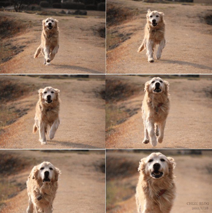 c0017311_111242.gif