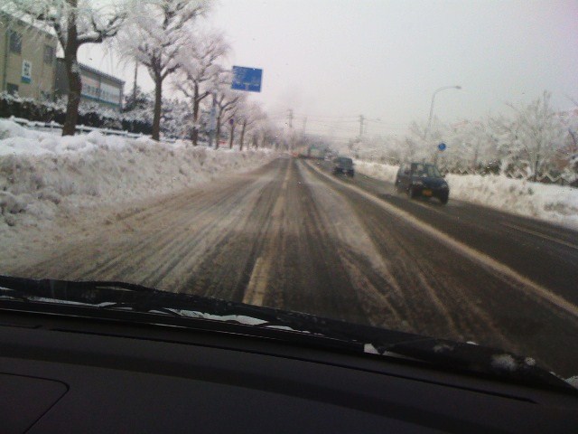雪の新潟_d0039111_1553033.jpg