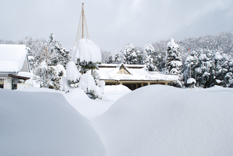 大雪!_f0067122_18192785.jpg
