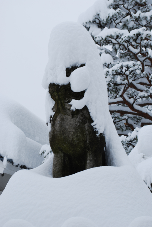 大雪!_f0067122_18195567.jpg