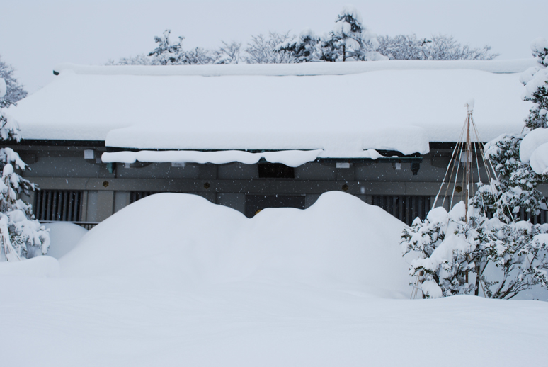 大雪!_f0067122_18202270.jpg