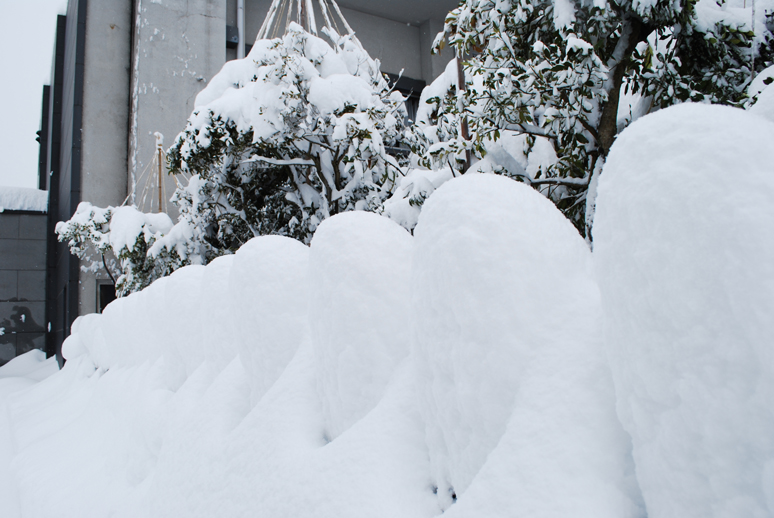 大雪!_f0067122_18205949.jpg