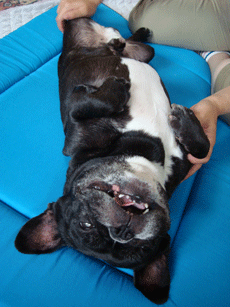 f0232522_7555749.gif