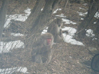 c0074025_20232638.jpg
