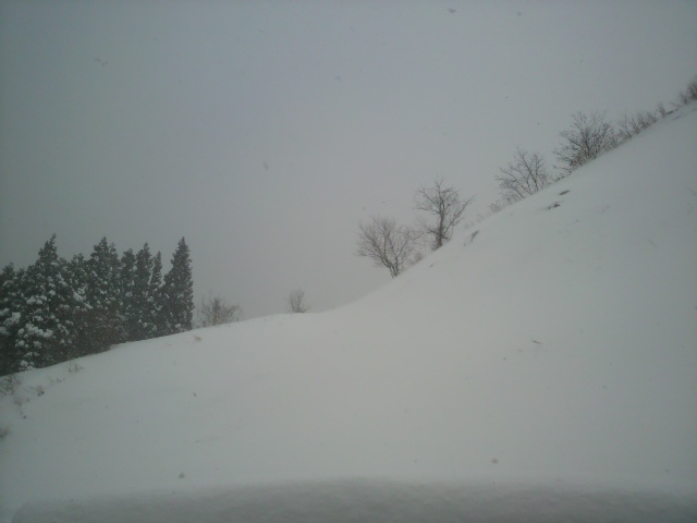 大雪に御用心_c0124828_1057534.jpg