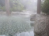 平山温泉 湯の蔵　熊本の温泉_d0086228_15142275.jpg