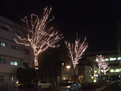 樹木イルミネーションの工事 高井記者倶楽部