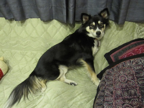 a0155430_14274826.jpg