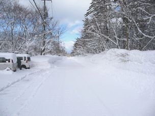 f0194533_2322407.jpg