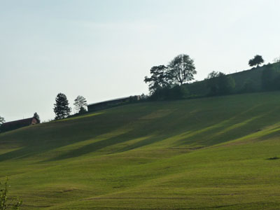b0035734_1981985.jpg