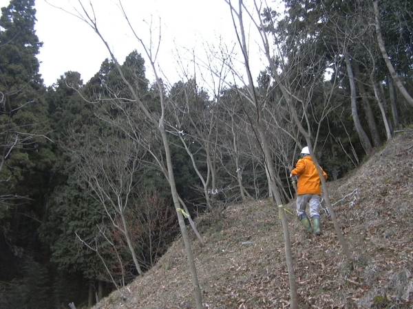 f0002248_1638415.jpg