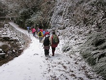 d0048350_21353545.jpg