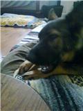 c0200153_05218.jpg