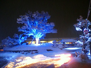 雪とイルミネーション ブログでおやべの情報をお届けします