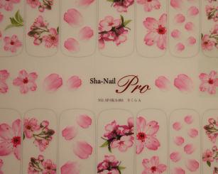 sya nail★_f0226555_19302943.jpg