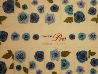 sya nail★_f0226555_19333836.jpg