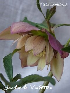 e0118257_22315820.jpg