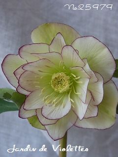 e0118257_22321810.jpg
