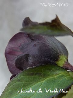 e0118257_22343395.jpg